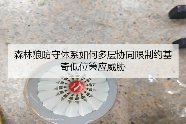 森林狼防守体系如何多层协同限制约基奇低位策应威胁