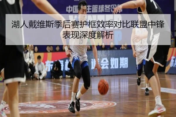湖人戴维斯季后赛护框效率对比联盟中锋表现深度解析