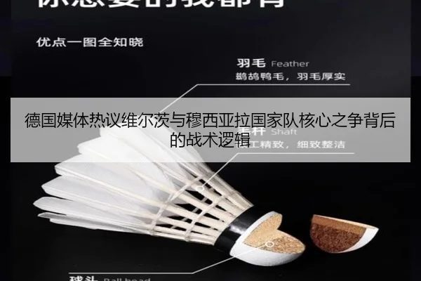 德国媒体热议维尔茨与穆西亚拉国家队核心之争背后的战术逻辑